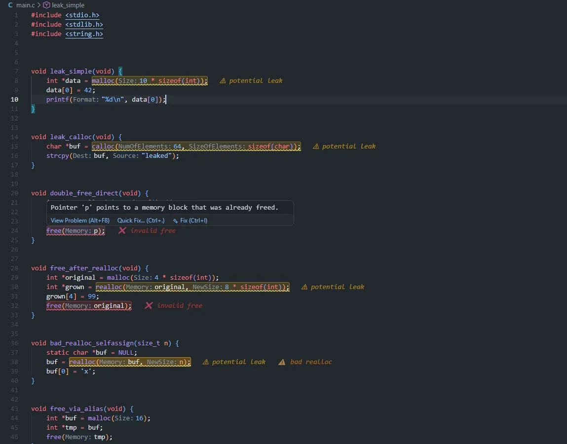 The extension running in VS Code, flagging potential leaks, invalid frees, and a bad realloc inline, with a hover explaining a double free.