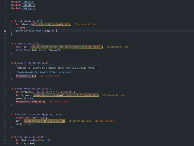 The extension running in VS Code, flagging potential leaks, invalid frees, and a bad realloc inline, with a hover explaining a double free.